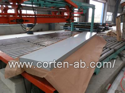 SA871 Type III Grade 60,ASME SA871 Type III Grade 60 hot rolled steel,ASME SA871 Type III Grade 60 Co